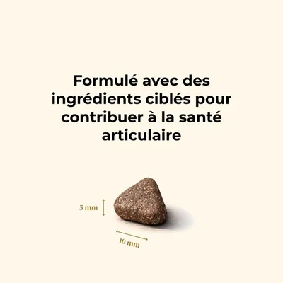 Truffe Délice Croquettes petit chien adulte - Bœuf Angus