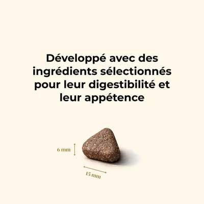 TRUFFE DÉLICE Croquettes chien adulte - Canard Fermier TRUFFE DÉLICE Croquettes chien adulte - Canard Fermier