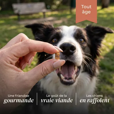 TRUFFE DÉLICE Friandises dinde TRUFFE DÉLICE Friandises dinde