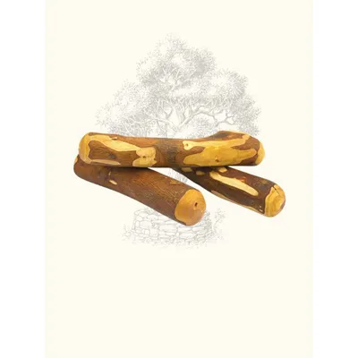 Truffe Délice Bois d’olivier