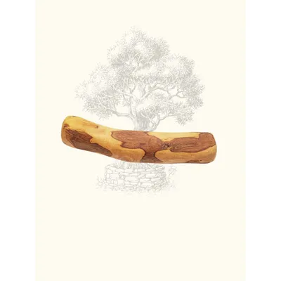 Truffe Délice Bois d’olivier