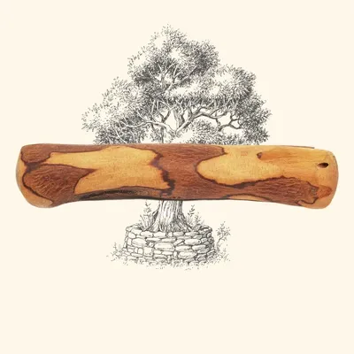 TRUFFE DÉLICE Bois d'olivier TRUFFE DÉLICE Bois d'olivier