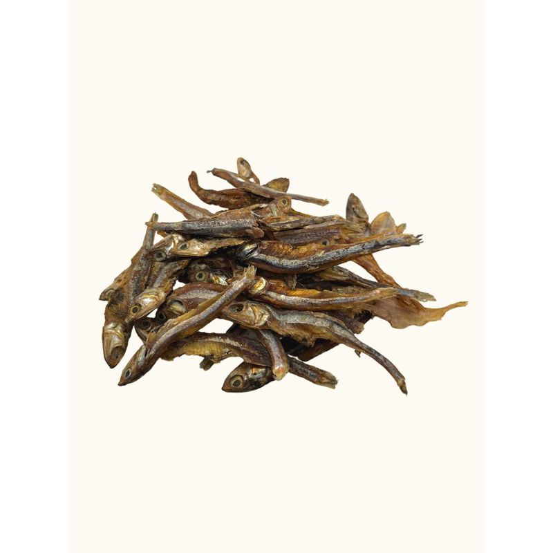 Anchois