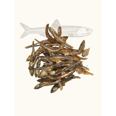 Anchois