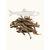 Anchois