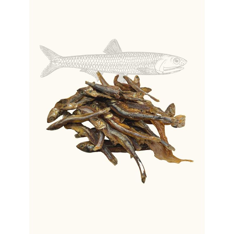 Anchois