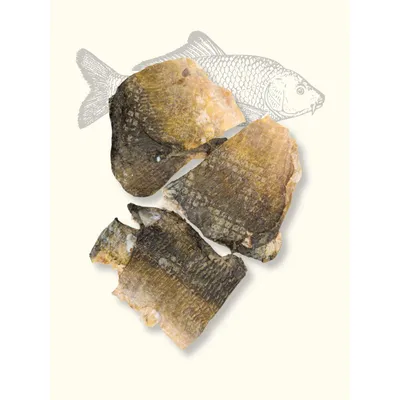 TRUFFE DÉLICE Chips de carpe