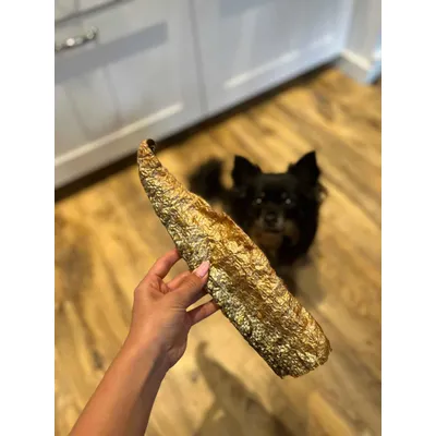 Peaux de saumon à la chair fondante