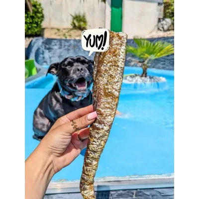 Peaux de saumon à la chair fondante