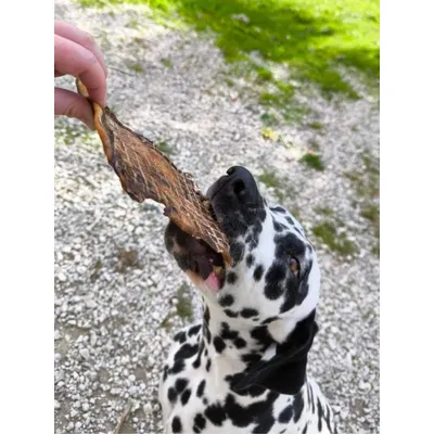 TRUFFE DÉLICE Plaques de boeuf