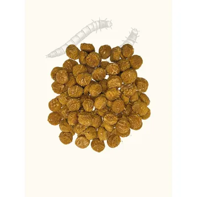 Friandises vers de farine & citrouille