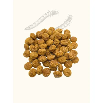 Friandises vers de farine & citrouille