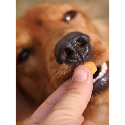 TRUFFE DÉLICE Friandises vers