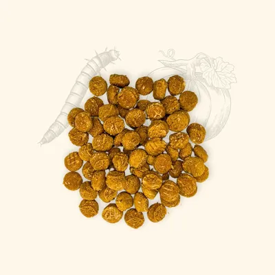 TRUFFE DÉLICE Friandises vers