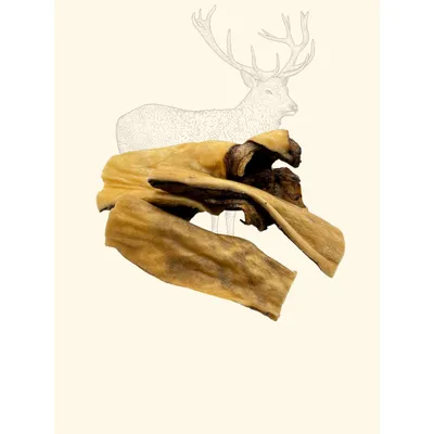 TRUFFE DÉLICE Peaux de cerf TRUFFE DÉLICE Peaux de cerf
