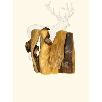 TRUFFE DÉLICE Peaux de cerf TRUFFE DÉLICE Peaux de cerf