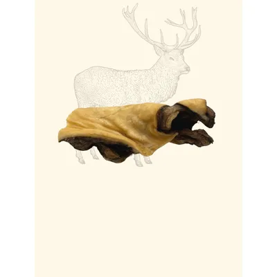TRUFFE DÉLICE Peaux de cerf TRUFFE DÉLICE Peaux de cerf