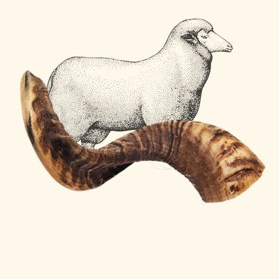 TRUFFE DÉLICE Corne de mouton