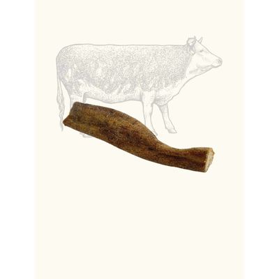 TRUFFE DÉLICE Queues de bœuf