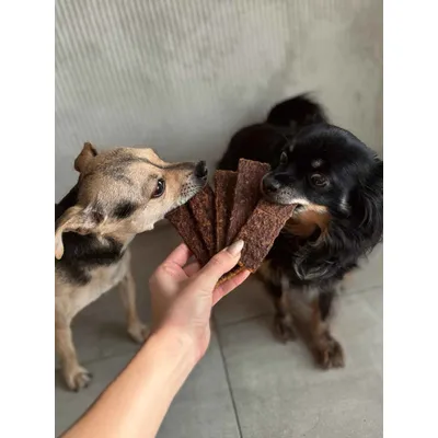 Lamelles de sanglier