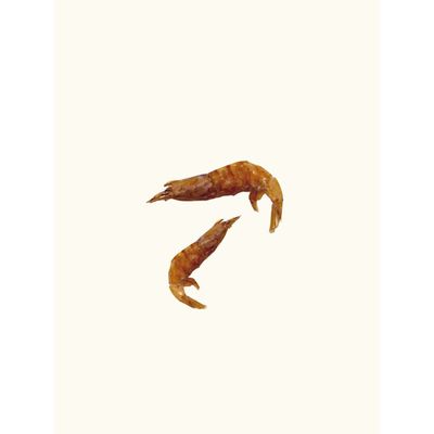 TRUFFE DÉLICE Crevettes chien