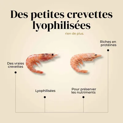 TRUFFE DÉLICE Crevettes chien TRUFFE DÉLICE Crevettes chien