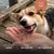 TRUFFE DÉLICE Crevettes chien TRUFFE DÉLICE Crevettes chien
