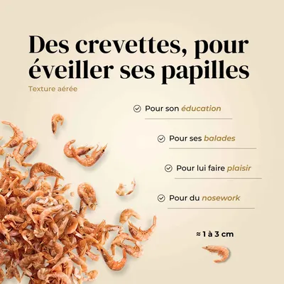 TRUFFE DÉLICE Crevettes chien TRUFFE DÉLICE Crevettes chien
