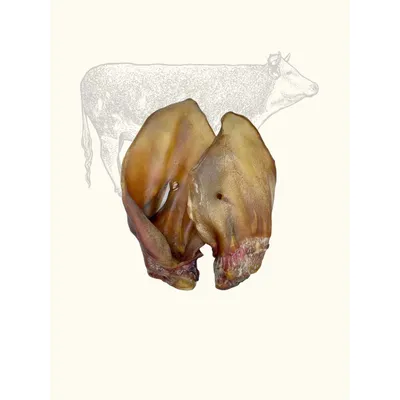 Truffe Délice Oreilles de bœuf