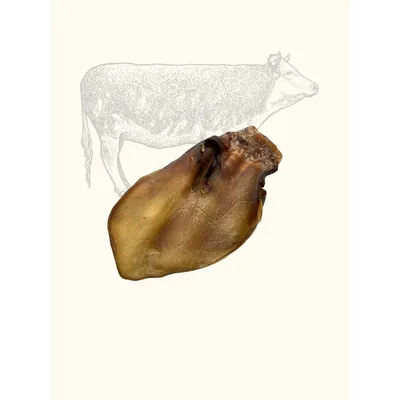 Truffe Délice Oreilles de bœuf