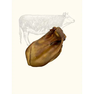 Truffe Délice Oreilles de bœuf