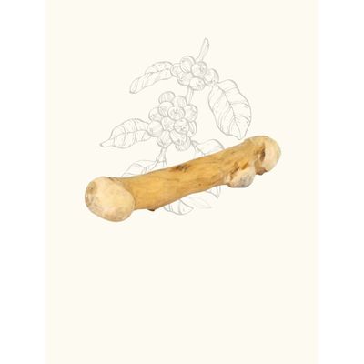 TRUFFE DÉLICE Bois de caféier