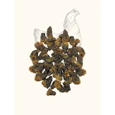 TRUFFE DÉLICE Cœurs de poulet