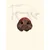TRUFFE DÉLICE Groins de cochon TRUFFE DÉLICE Groins de cochon