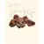 TRUFFE DÉLICE Groins de cochon TRUFFE DÉLICE Groins de cochon