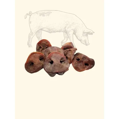 TRUFFE DÉLICE Groins de cochon TRUFFE DÉLICE Groins de cochon