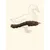 TRUFFE DÉLICE Cous de canard TRUFFE DÉLICE Cous de canard