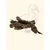 TRUFFE DÉLICE Cous de canard TRUFFE DÉLICE Cous de canard