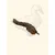 TRUFFE DÉLICE Cous de canard TRUFFE DÉLICE Cous de canard