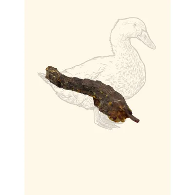 TRUFFE DÉLICE Cous de canard TRUFFE DÉLICE Cous de canard