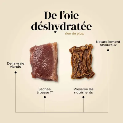 TRUFFE DÉLICE Friandises oie
