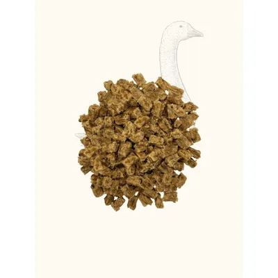 Friandises d'oie