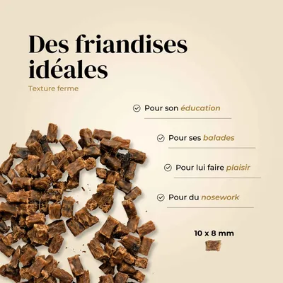 TRUFFE DÉLICE Friandises oie