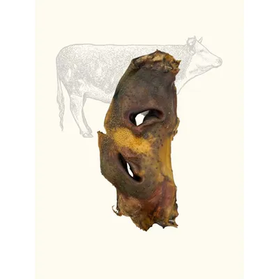 TRUFFE DÉLICE Museaux de bœuf