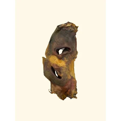 TRUFFE DÉLICE Museaux de bœuf TRUFFE DÉLICE Museaux de bœuf
