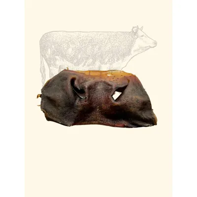 TRUFFE DÉLICE Museaux de bœuf TRUFFE DÉLICE Museaux de bœuf
