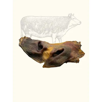 TRUFFE DÉLICE Museaux de bœuf