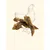 TRUFFE DÉLICE Wings de Poulet TRUFFE DÉLICE Wings de Poulet