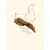 TRUFFE DÉLICE Wings de Poulet TRUFFE DÉLICE Wings de Poulet