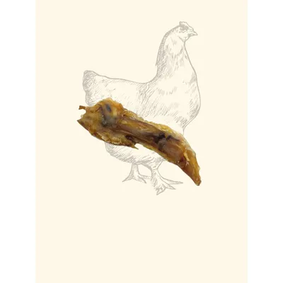 TRUFFE DÉLICE Wings de Poulet TRUFFE DÉLICE Wings de Poulet